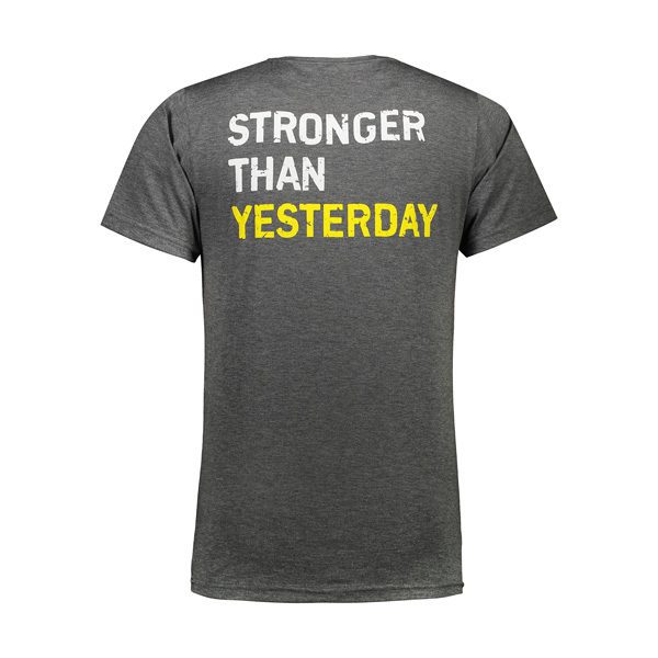 پشت تیشرت مردانه GOLDS GYM مدل POCH نخی طوسی پشت تیشرت مردانه GOLDS GYM مدل POCH نخی طوسی