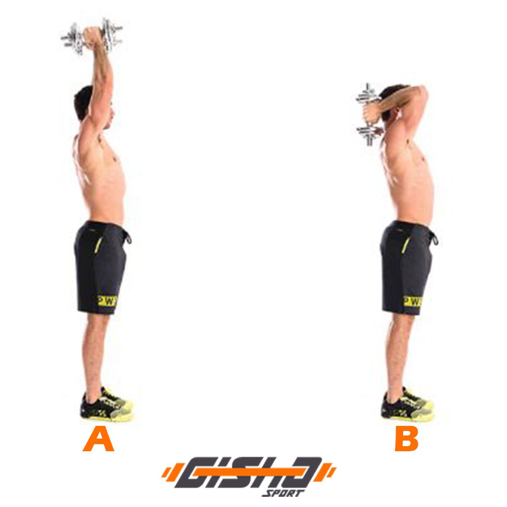 حرکت Overhead Triceps Press از جمله حرکت های منسوخ شده در بدنسازی