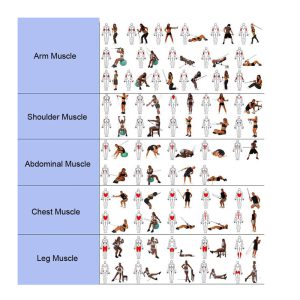 کش 5 رشته ورزشی CX مدل UPOWEX