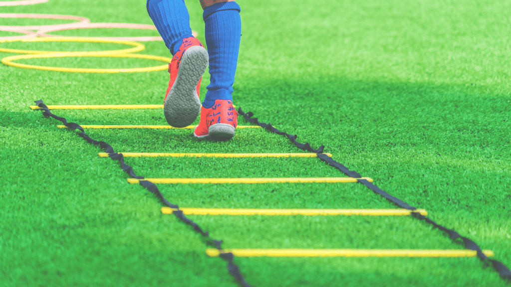 نردبان چابکی 