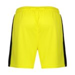ست رکابی و شلوارک ورزشی مردانه باربل مدل PY-GHOST زرد پشت