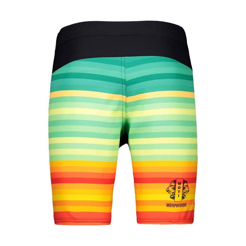 شلوارک فیزیک بدنسازی مردانه موتی فیزیک مدل MTP-1J485 چندرنگ پشت شلوارک فیزیک بدنسازی مردانه موتی فیزیک مدل MTP-1J485 چندرنگ پشت