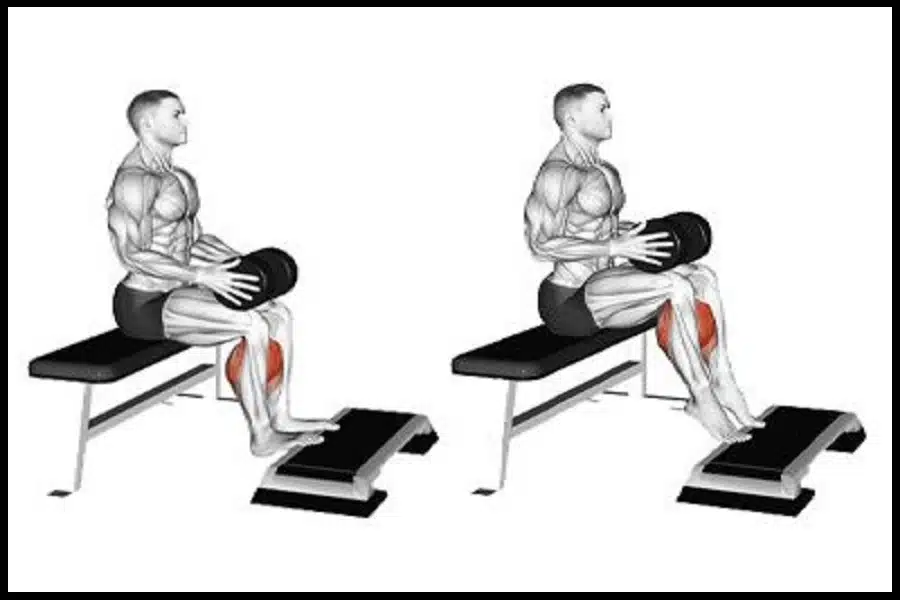 تقویت عضلات ساق پا