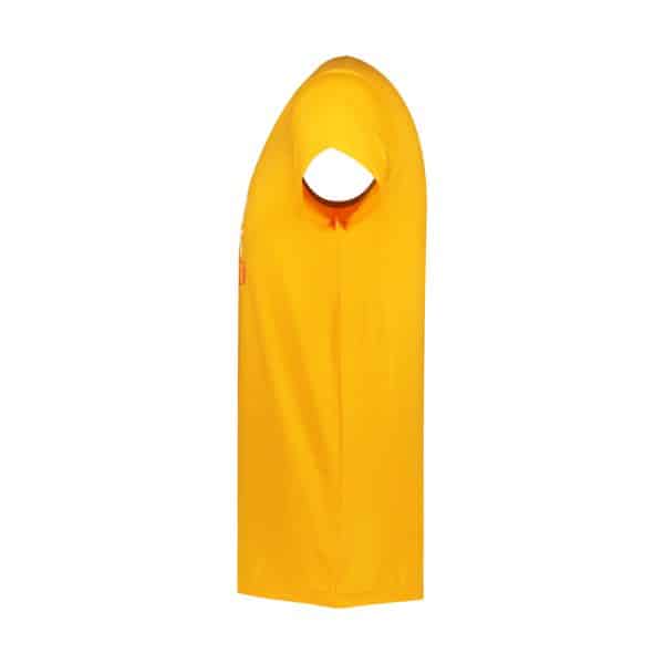 تیشرت ورزشی مردانه شیکاگو بولز مدل HS-2A965 زرد نیمرخ