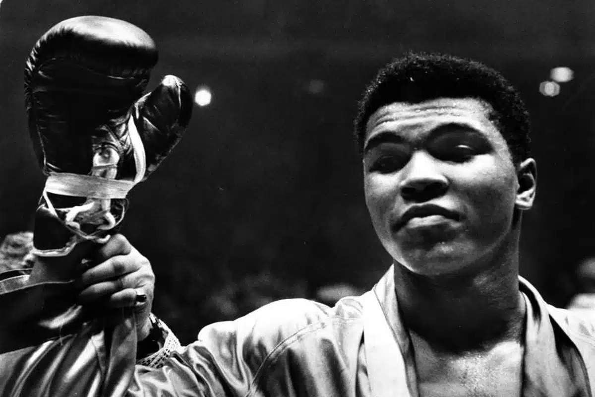 محمد علی کلی | آشنایی با زندگینامه این بوکسور مشهور