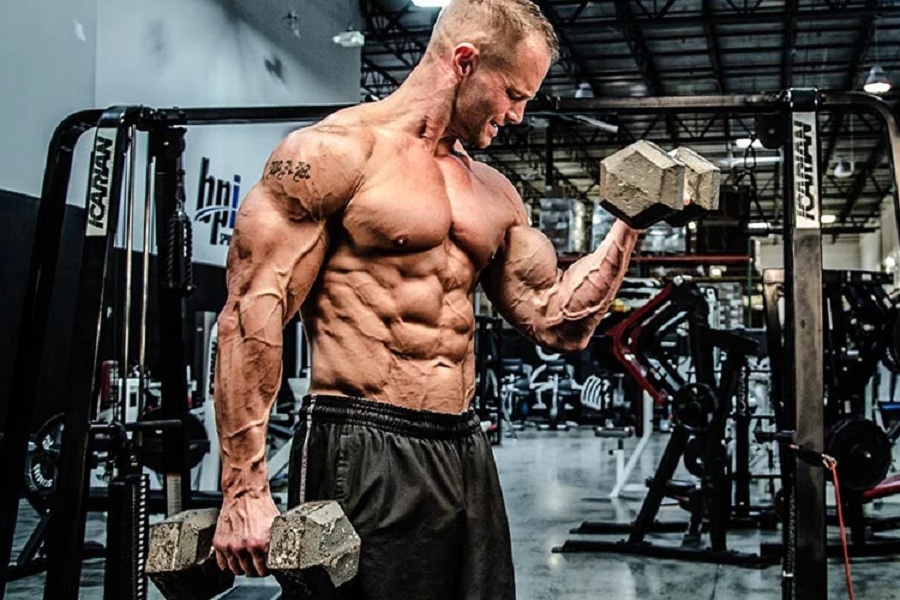 تغذیه در کراس فیت