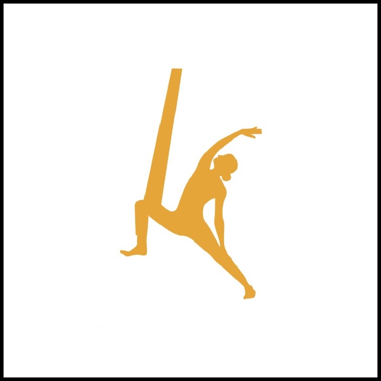 تغییر حرکت لانژ به جنگجوی معکوس