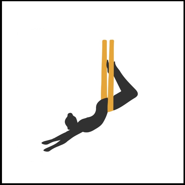 حرکت سگ سر پایین