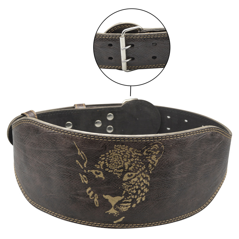 کمربند بدنسازی لیپارد عرض سگک 6cm مدل ELM-404C0411 سگکی قهوه ای