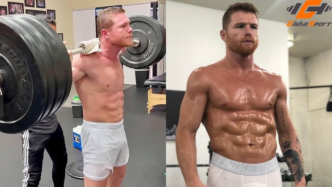 رکورد ها و افتخارات سائول آلوارز