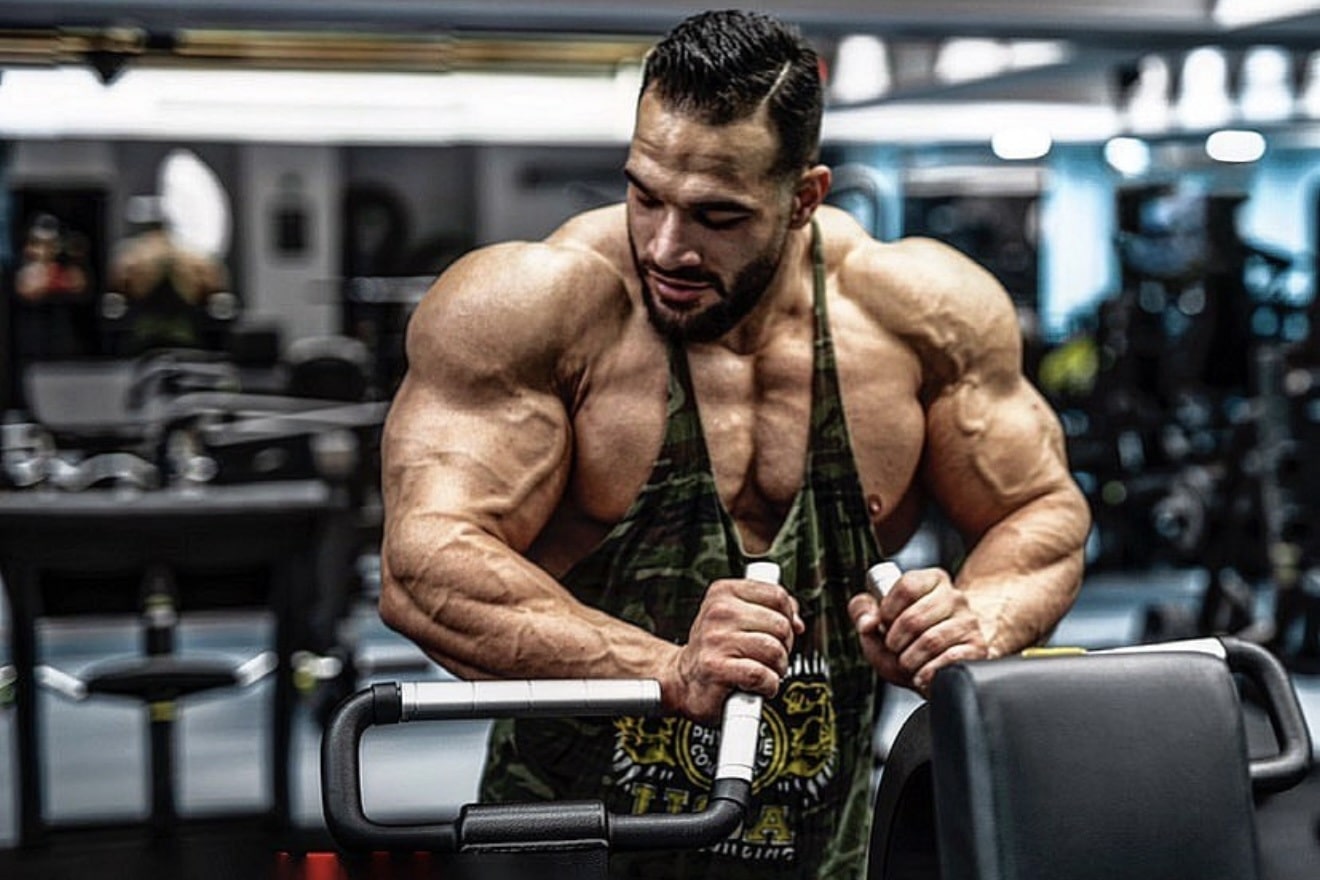 بیوگرافی محسن صمدی